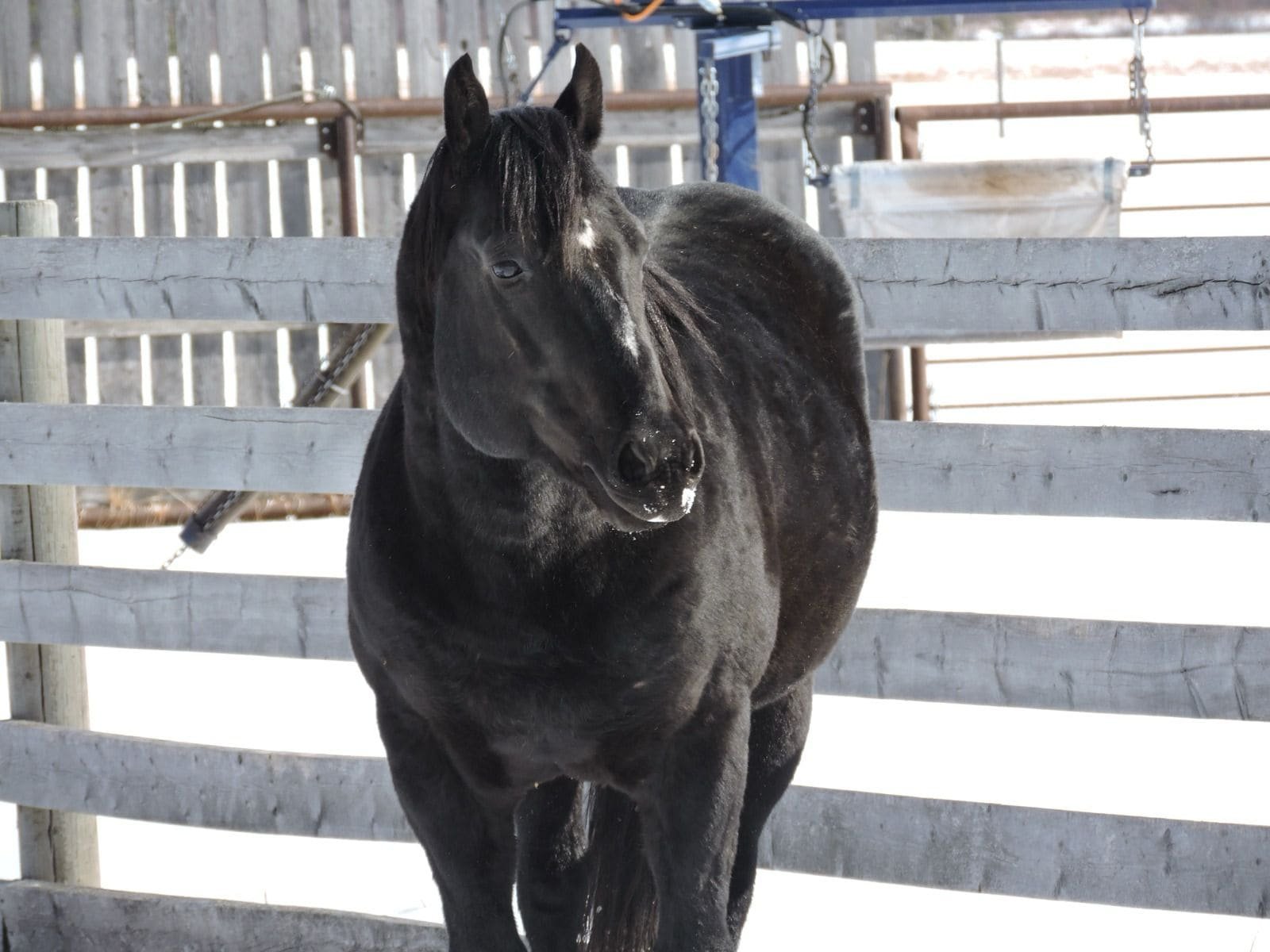 WhatsApp Image 2025-05-28 at 8.12.57 p.m.